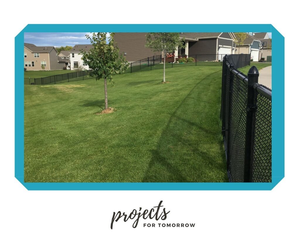 lush green backyard with black chain link fence.