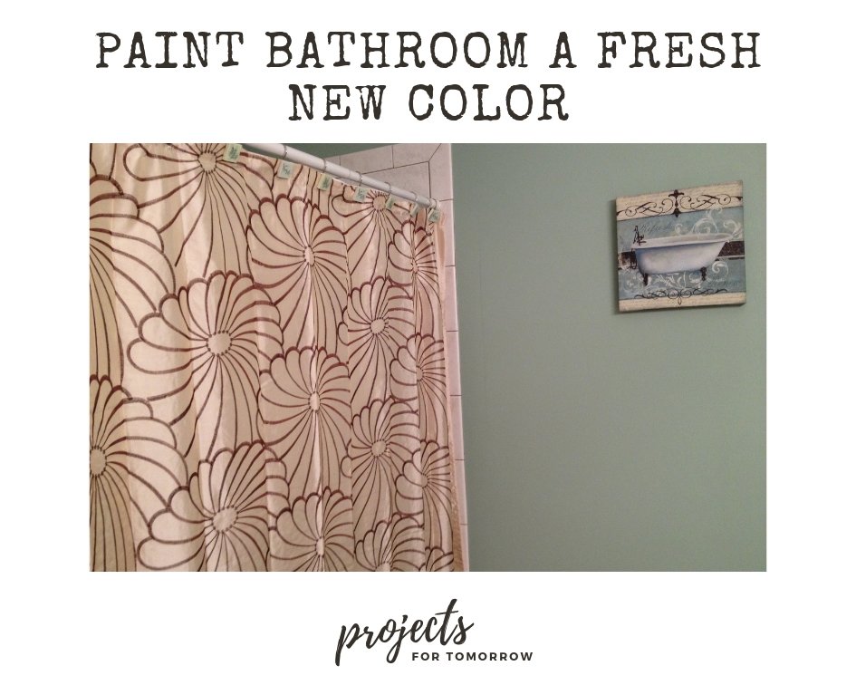 The obvious update, paint your bathroom a fresh new color.