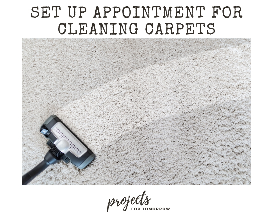 Set up an appointment for cleaning carpets